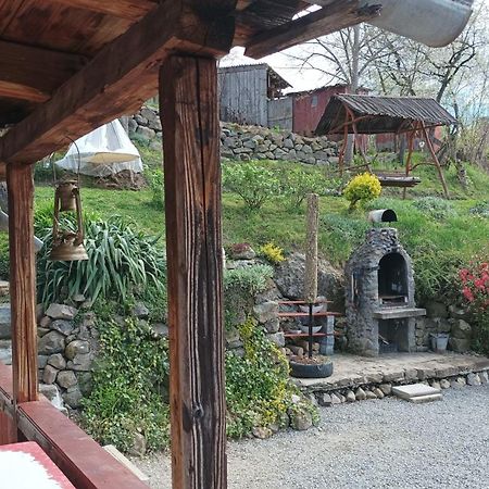 Meselak Villa Ocna de Sus Exteriör bild