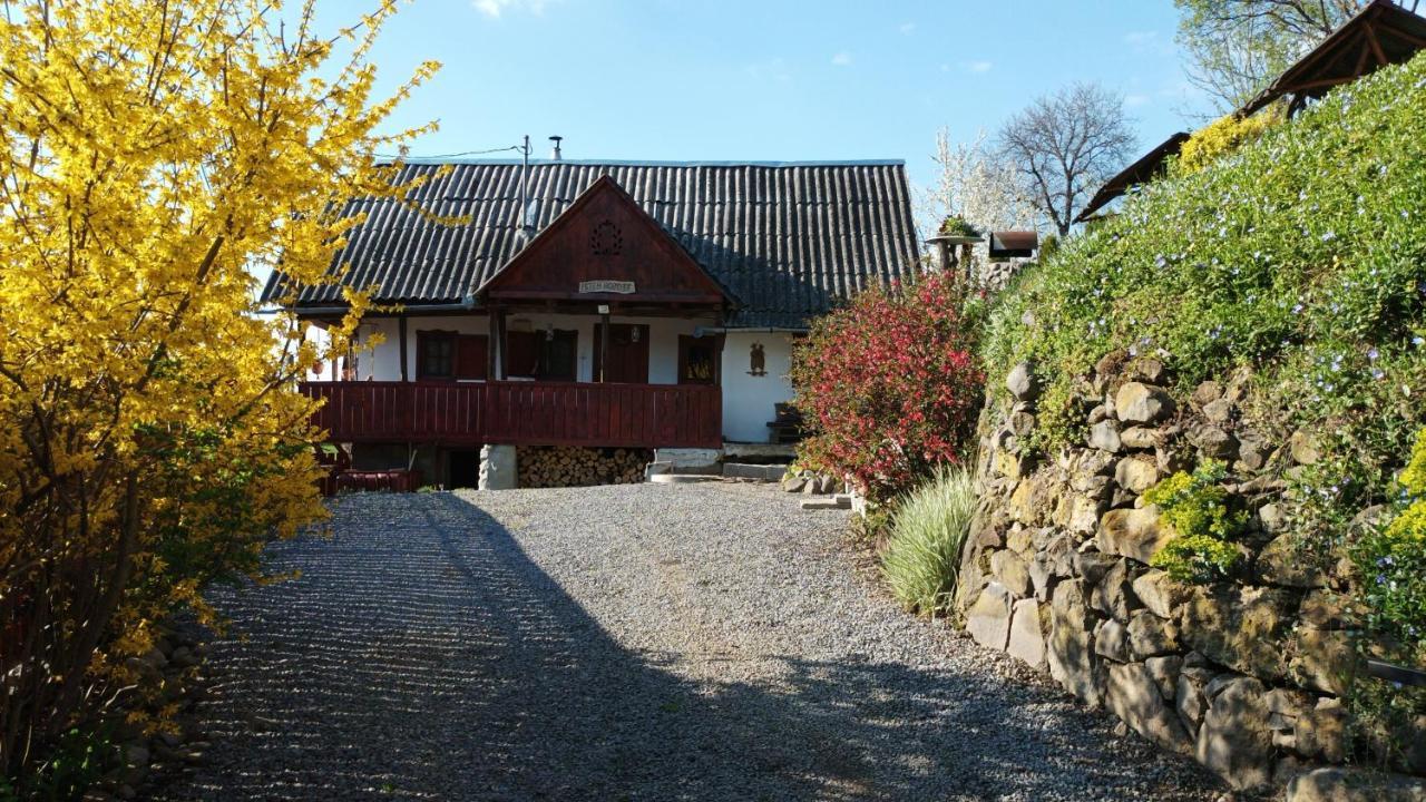 Meselak Villa Ocna de Sus Exteriör bild
